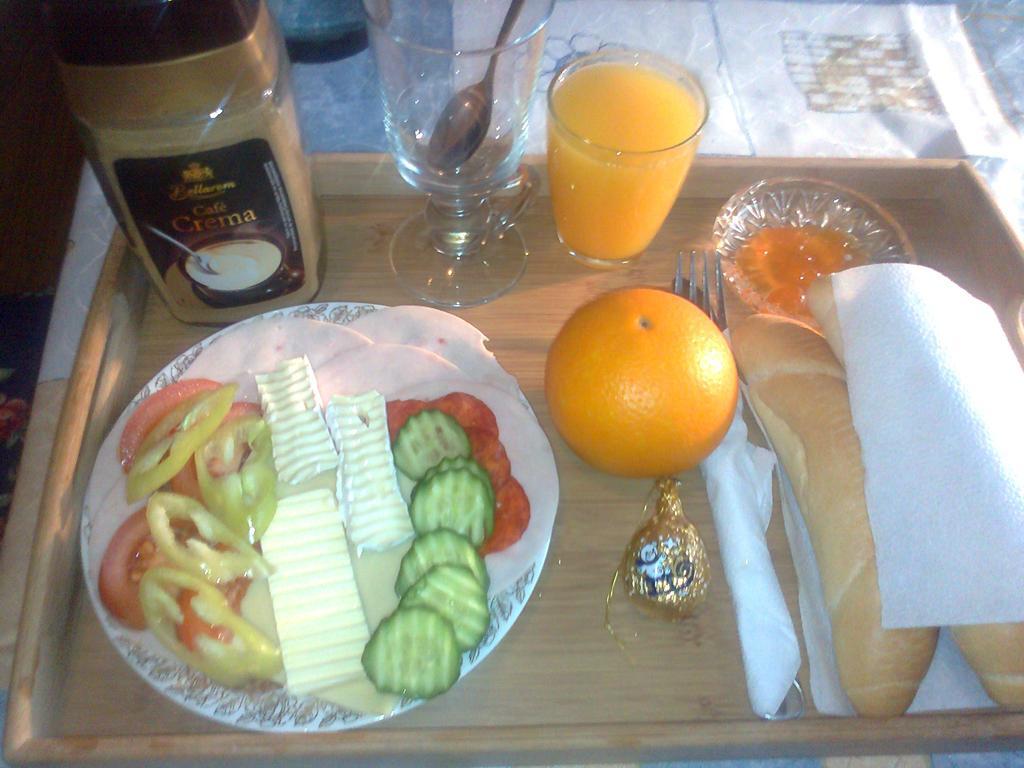 Penzion Hlinkova 플젠 외부 사진